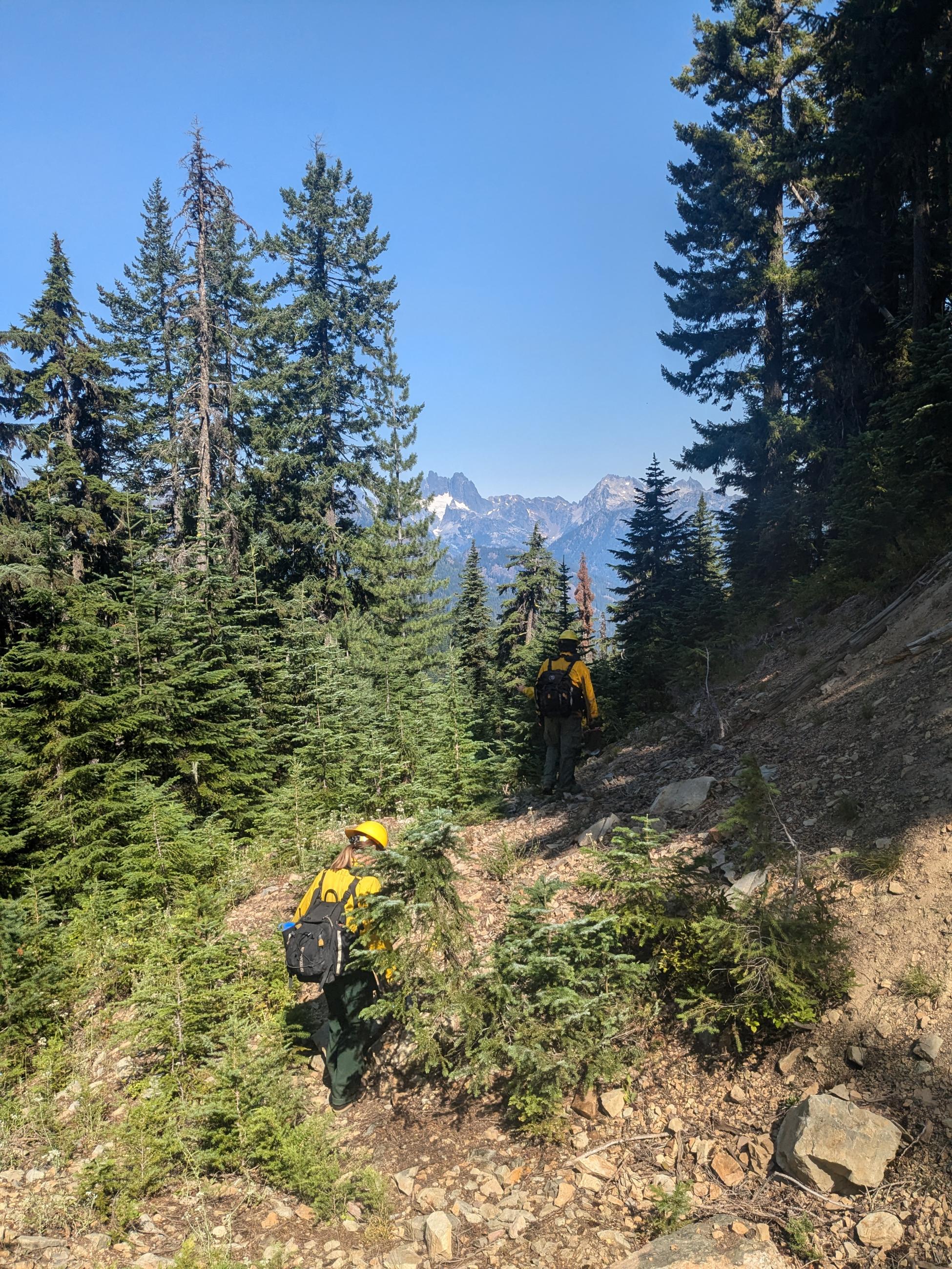 Across Ridge Waowf Kachess Complex Incident Photographs | InciWeb